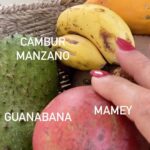Elba Escobar Instagram – Fruta Fresca como un beso de Amor