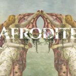 Elisa De Panicis Instagram - Listen my new EP AFRODITE ..Link in my bio !!! Safadinha Bandida Soy soltera Uh la la la Cositas malas La madrina Nella Notte 🌙 What’s your favorite song ?