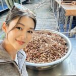 Eliza Sam Instagram - A moment of calm in this crazy season♥️🐶 Last pic- trying my best to protect their yummy food from flies that are also hungry! Recently I went to visit some fur babies at #BigTree shelter. Thank you doggies for filling my heart with love. It was like a therapy I didn’t know I needed♥️ Will upload the video of making their food tomorrow, stay tuned🤪✌🏻♥️🫶🏼 #大樹下 #大樹下善待動物庇護站 #BigTree #流浪動物 #善待生命 #支持領養