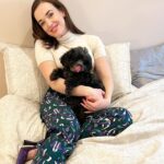 Elizabeth Henstridge Instagram - sneaky press morning at home - not mad at it 👑🐶 #suspicion @appletvplus