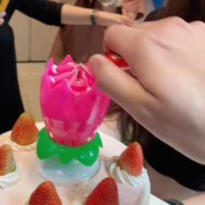 Ella Chen Jia Hua Instagram - 謝謝大家的生日祝福
今年切了好多次蛋糕
被你們滿滿的愛包圍
是多麼的幸福與美好
今天要繼續乘風錄製
跟各位姐姐們一起過啦

感謝我永遠的好姐妹
知道我今天要工作
特地提早幫我慶生
還有風沙星辰 永遠相伴的你們
從機場 到酒店 再到機場
再到酒店出發宿舍
各種的創意慶生儀式
謝謝你們無比的貼心

祝願大家
健康平安 開心的活著
Love you all ❤️

PS: 影片開聲音，聽我老婆爽朗的笑聲😆