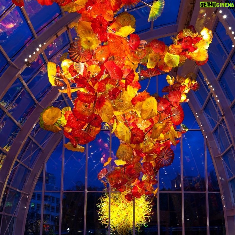 Ellie Kemper Instagram - I am thinking of Lynn Shelton and her loved ones tonight. I was lucky to work with her on her film, Laggies. This is a photo of the Chihuly Museum, where we shot the wedding scene. Lynn was an exceptional filmmaker and storyteller, but more important, she was kind. We have lost a very bright light. Sending love to you, Lynn. ❤️