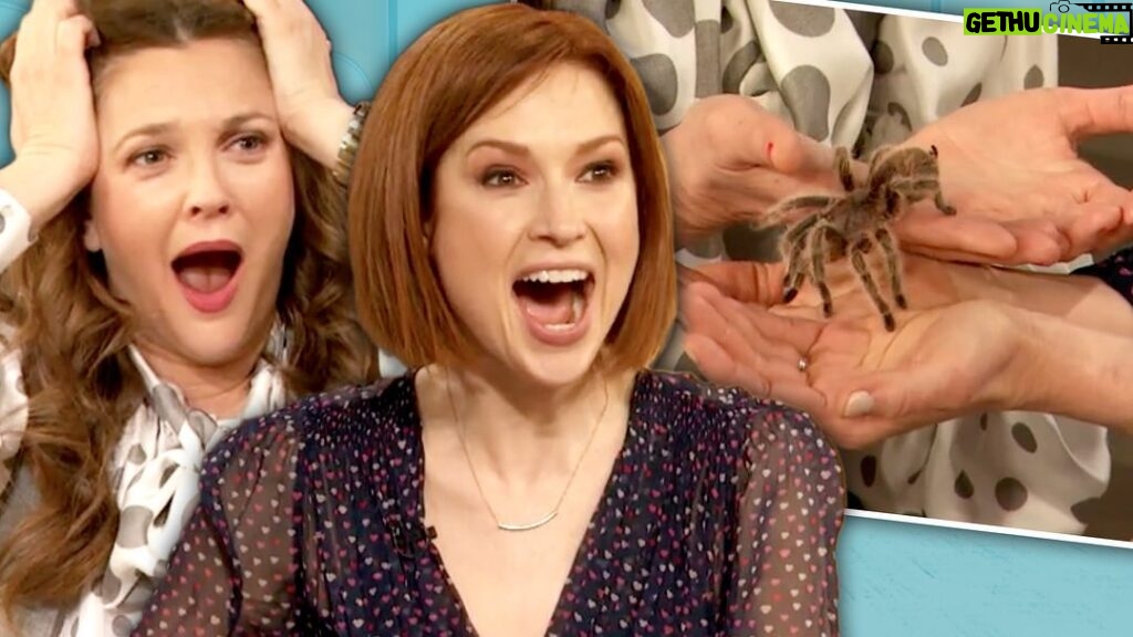 Ellie Kemper Instagram - Well they surprised me with a LIVE TARANTULA on @thedrewbarrymoreshow today! This kind of spontaneity and excitement just doesn’t happen on television anymore ☺️