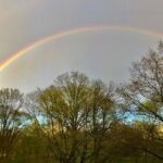 Ellie Kemper Instagram – Central Park you absolute beast!!! 🌈💯