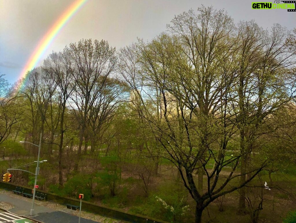 Ellie Kemper Instagram - Central Park you absolute beast!!! 🌈💯