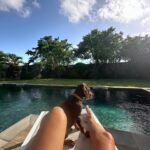 Elsa Dasc Instagram - Ariel, bienvenue chez toi 🐚🤎 La gardienne de notre bonheur 🐾🏡