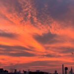 Elsie Hewitt Instagram - alexa play Rooftops by wiz khalifa LOL