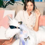 Elva Ni Chen-Xi Instagram - #JENTLESALON 3rd collection coming out tomorrow 🦄💖🌈 @gentlemonster @jennierubyjane @puyioptical