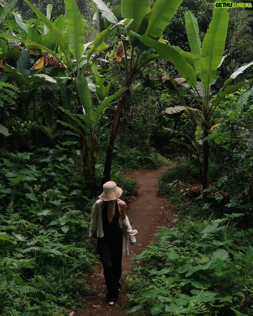 Elvin Levinler Instagram - green therapy #bali 🌴🌱🌿☘️🌴 #elviniminbali