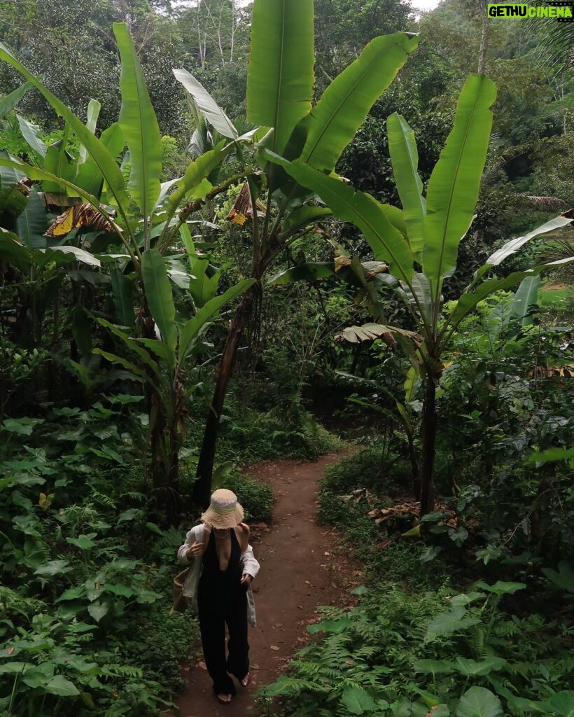 Elvin Levinler Instagram - green therapy #bali 🌴🌱🌿☘️🌴 #elviniminbali