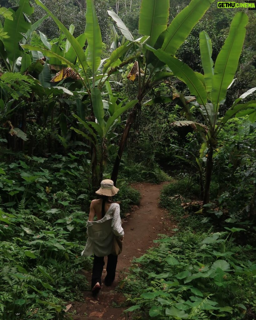 Elvin Levinler Instagram - green therapy #bali 🌴🌱🌿☘️🌴 #elviniminbali