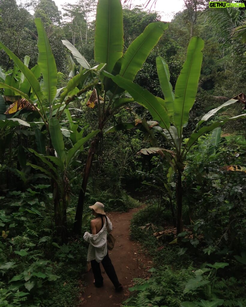 Elvin Levinler Instagram - green therapy #bali 🌴🌱🌿☘️🌴 #elviniminbali