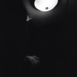 Emily Alyn Lind Instagram -