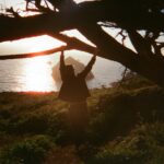 Emily Osment Instagram - Big Sur on film #35mm