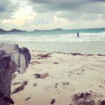 Emily VanCamp Instagram - Taking in the lovely sea breeze for the first time. I mean, I can’t even with this dog 😂 #FrankieB #travellingpup