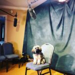 Emily VanCamp Instagram - My dog does interviews for me when I’m jet lagged. Just sayin..