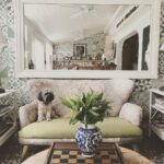 Emily VanCamp Instagram - Lady of the house 🛋