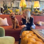 Emma Bunton Instagram - We are in the midst of GCSE revision for my eldest and we needed a night away. This was a dream stay @fshampshire everything we wanted and more. #familytime #bubba