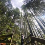 Emma Slater Instagram - Quite literally the best day on tour ever. Vancouver wow, just wow 🙌🏻🌲🌿🌳 @brittbenae @ryleearnold1 @alanbersten swipe to see the videos