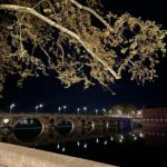Emmanuelle Cureau Instagram - Bonjour Toulouse ✨ Les chocolatines, le couvent des jacobins, les bords de Garonne, chez Tonton … et la chaleur de votre accueil 😊 💕