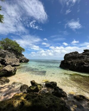 Emmanuelle Cureau Instagram - La plage de Padang Pandang Beach est une des plus connues d’Uluwatu car c’est ici que ce s’est tournée la  fameuse scène d’amour du film Mange , Prie , Aime . 
C’est loin d’être la plus jolie selon moi , cependant si vous souhaitez y faire un passage je vous conseille vraiment de ne pas vous arrêter à l’entrée de la plage mais de continuer la marche sur les rochers quelques mètres de plus loin , pour avoir accès à des paysages bien plus sauvages 🌴🌊🐚