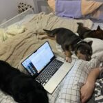 Emy LTR Instagram - Hello tout le monde ☀️ Je suis très émue de vous présenter Bonnie, ma nouvelle meilleure copine ❤️. Bonnie est une American Bully de 5 mois, son ancien propriétaire souhaitait faire un élevage clandestin pour vendre des petits chiots. Elle faisait partie d’une portée qui ont tous été récupéré par l’association @unetruffeetuntoi. Après avoir été dans une super famille d’accueil (coucou Elodie) Bonnie est enfin arrivée dans sa famille pour la vie, avec moi. Merci et bravo à cette superbe association qui fait le bien et qui me permet aujourd’hui d’accueillir cette merveille. Je vous invite à aller vous abonner à leur compte et leur apporter du soutien❤️. Bonnie est pleine d’amour, elle est rigolote et un peu gauche. Tout le monde tombe sous son charme et j’espère que vous aussi 🥰. Elle fait connaissance avec son environnement et est déjà un vrai pot de colle 🐶. Je profite de ce post bonne nouvelle pour répondre à de nombreuses questions que j’évite depuis des semaines. Je n’aime pas trop m’étaler sur ce genre de sujet alors autant vous le dire ici pour ne pas en faire une affaire d’état. Nous avons décidé Odah et moi de séparer nos chemins amoureux. Il n’y aucun conflit, nous restons proches et concentrés sur le bien être de notre fils puisque c’est le plus important pour nous. Nous mettons tout en place pour que tout se déroule en douceur et nous vous remercions de respecter cette période. Odah est le père de mon fils et il sera toujours ma famille. Bisous de bébé, Marley, Gogo, Bonnie, Odah et moi ❤️