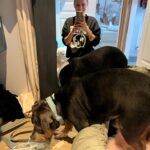Emy LTR Instagram - Hello tout le monde ☀️ Je suis très émue de vous présenter Bonnie, ma nouvelle meilleure copine ❤️. Bonnie est une American Bully de 5 mois, son ancien propriétaire souhaitait faire un élevage clandestin pour vendre des petits chiots. Elle faisait partie d’une portée qui ont tous été récupéré par l’association @unetruffeetuntoi. Après avoir été dans une super famille d’accueil (coucou Elodie) Bonnie est enfin arrivée dans sa famille pour la vie, avec moi. Merci et bravo à cette superbe association qui fait le bien et qui me permet aujourd’hui d’accueillir cette merveille. Je vous invite à aller vous abonner à leur compte et leur apporter du soutien❤️. Bonnie est pleine d’amour, elle est rigolote et un peu gauche. Tout le monde tombe sous son charme et j’espère que vous aussi 🥰. Elle fait connaissance avec son environnement et est déjà un vrai pot de colle 🐶. Je profite de ce post bonne nouvelle pour répondre à de nombreuses questions que j’évite depuis des semaines. Je n’aime pas trop m’étaler sur ce genre de sujet alors autant vous le dire ici pour ne pas en faire une affaire d’état. Nous avons décidé Odah et moi de séparer nos chemins amoureux. Il n’y aucun conflit, nous restons proches et concentrés sur le bien être de notre fils puisque c’est le plus important pour nous. Nous mettons tout en place pour que tout se déroule en douceur et nous vous remercions de respecter cette période. Odah est le père de mon fils et il sera toujours ma famille. Bisous de bébé, Marley, Gogo, Bonnie, Odah et moi ❤️