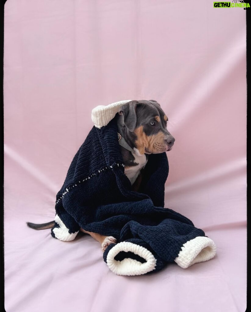 Emy LTR Instagram - Dogleesi Mother of dogs 🐾 👩🏻‍🦳 Qui veut des nouveaux produits du bonheur Kreapie?