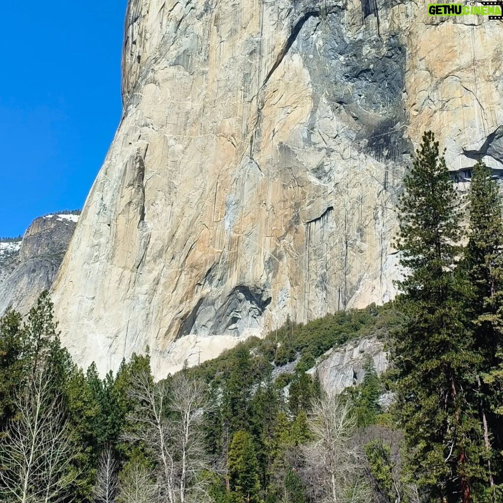 Enrique Arce Instagram - YOSEMITE NATIONAL PARK (CALIFORNIA), DIA 2/DAY 2 la icónica montaña de EL CAPITAN, que popularizÓ Alex Hannold en el docu SOLO, y las Sequoias Gigantes de Mariposa Grove. 45km de senderismo por Yosemite National Park en dos días de inmersión total en la naturaleza más impresionante