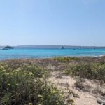 Enrique Arce Instagram - Un año más... Formentera!! mi lugar en el mundo #thelastparadiseofthemediterranean #formenteraliving