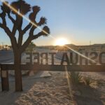 Enrique Arce Instagram - Joshua Tree, Mojave desert, California!!! que pasada de energía tiene el desierto!