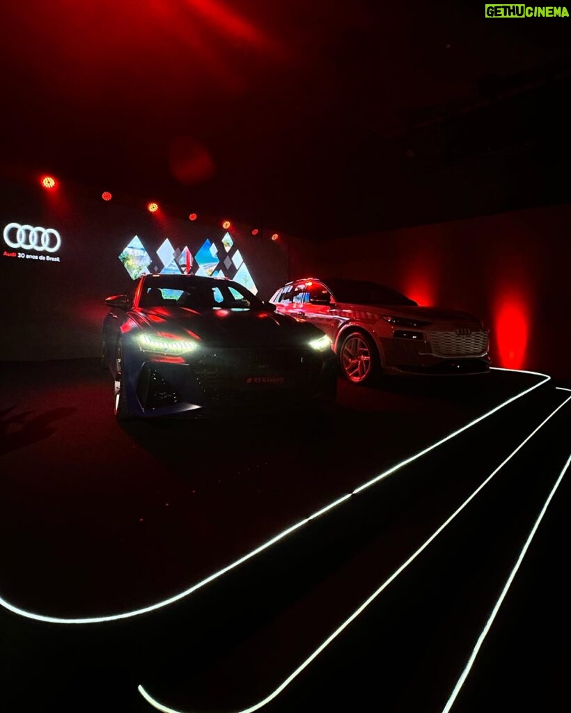 Erika Schneider Instagram - Se tem vídeo tem fotos também! @audibr 30 anos Postei um pouco do evento nos stories pra vocês! 🖤