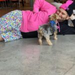 Ethan Klein Instagram - Frenemies merch live at 12:30 pst teddyfresh.com/frenemies