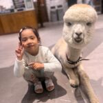 Eugene Instagram - 동물좋아하는아이 곤충도...파충류도...그냥 다 귀엽대요...😅😆😖😱🤣 My little girl loves animals… even insects…and reptiles…she says they are all so cute…!!!