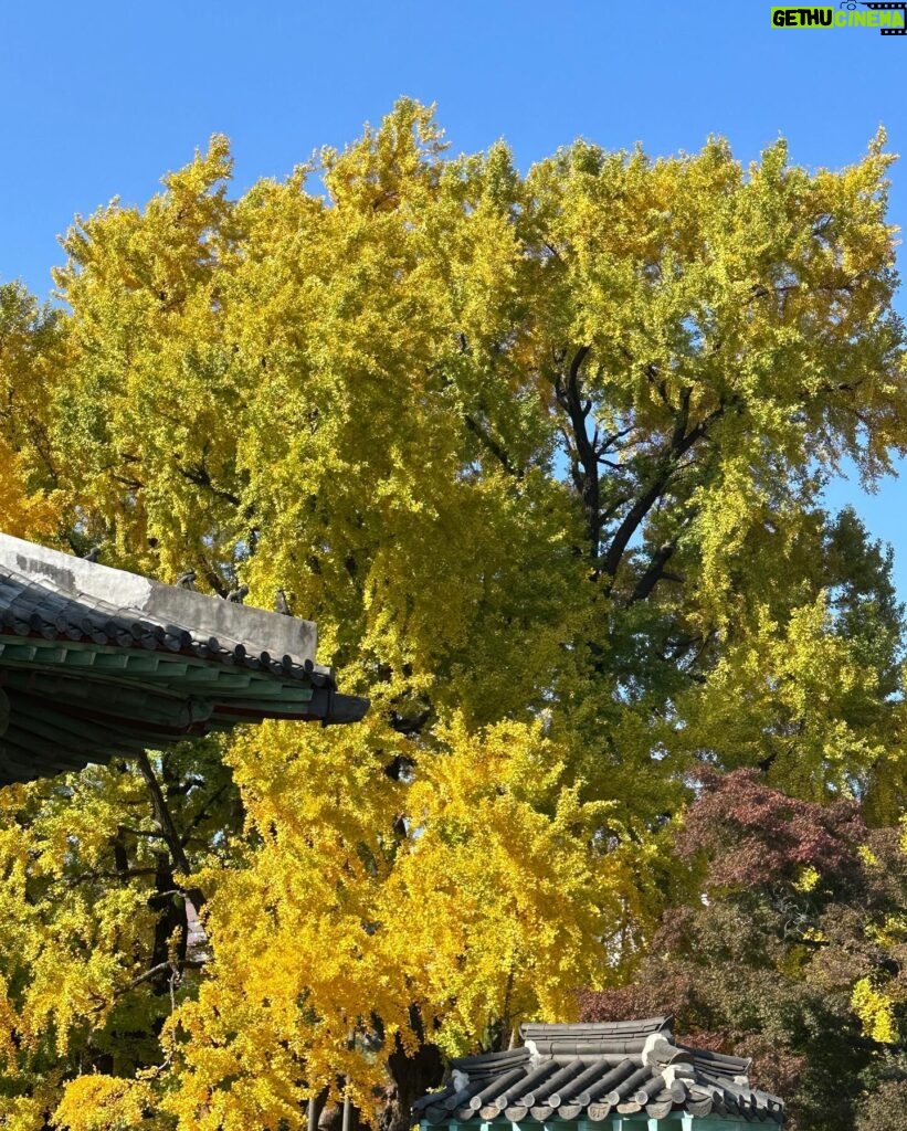 Eunseo Instagram - 가을낭만 있는 우주공강🍁🐿️