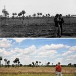 Eva De Dominici Instagram – Este domingo se cumplen 48 años del último golpe de Estado en #Argentina. Por eso compartimos el ensayo fotográfico “Ausencias Argentina” de #GustavoGermano. Las imágenes buscan mostrar la “permanente presencia de la ausencia” de los desaparecidos de la última dictadura militar argentina entre 1976 y 1983. 🇦🇷

💬 «Ausencias pretende reflejar en 14 rostros la historia de todos. Cada foto es una historia en sí misma pero a la vez es la historia de todos los casos. Yo creo que si Ausencias transmite algo es por la actitud de los retratados. Ellos denuncian un espacio que debería estar ocupado, pero lo hacen desde una serenidad y convicción, desde una falta de odio que es lo que, yo creo, logra conmover”, sostiene el fotófrago, que inició su carrera en 1986 durante un viaje por América Latina.

👉 Gustavo Germano es hermano de Eduardo Raúl Germano, detenido-desaparecido por los militares en 1976 y cuyos restos fueron identificados en 2014 por el Equipo Argentino de Antropología Forense.

✊ Desde @amnistiaar reafirmamos la importancia del proceso de memoria, verdad, justicia y reparación como ejemplo, tanto a nivel nacional como global. 🇦🇷