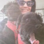 Eva Green Instagram - Before the day ends… happy international dog day to my beautiful angels Mister Winston and Nora 💖🌟💖🌟