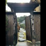 Eva Green Instagram - Valentines Day… I went and fell in love with Japan , its kind people, and their rich culture and traditions. Many thanks to everyone I met and worked with . Thank you, beautiful Japan. I go home with a full heart ♥️