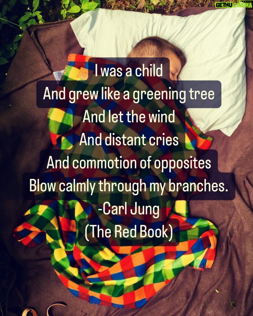 Evangeline Lilly Instagram - "I [am] a child and [grow] like a greening tree and let the wind and distant cries and commotion if opposites blow calmly through my branches." -#CarlJung #theredbook