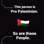 Faezah Elai Instagram - How many of u here are pro Palestine 🇵🇸? Press the ❤️ and let them know.. . #freepalestine #istandwithpalestine