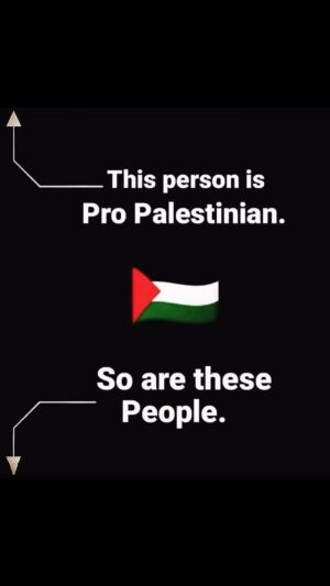 Faezah Elai Instagram - How many of u here are pro Palestine 🇵🇸?
Press the ❤️ and let them know..
.
#freepalestine #istandwithpalestine