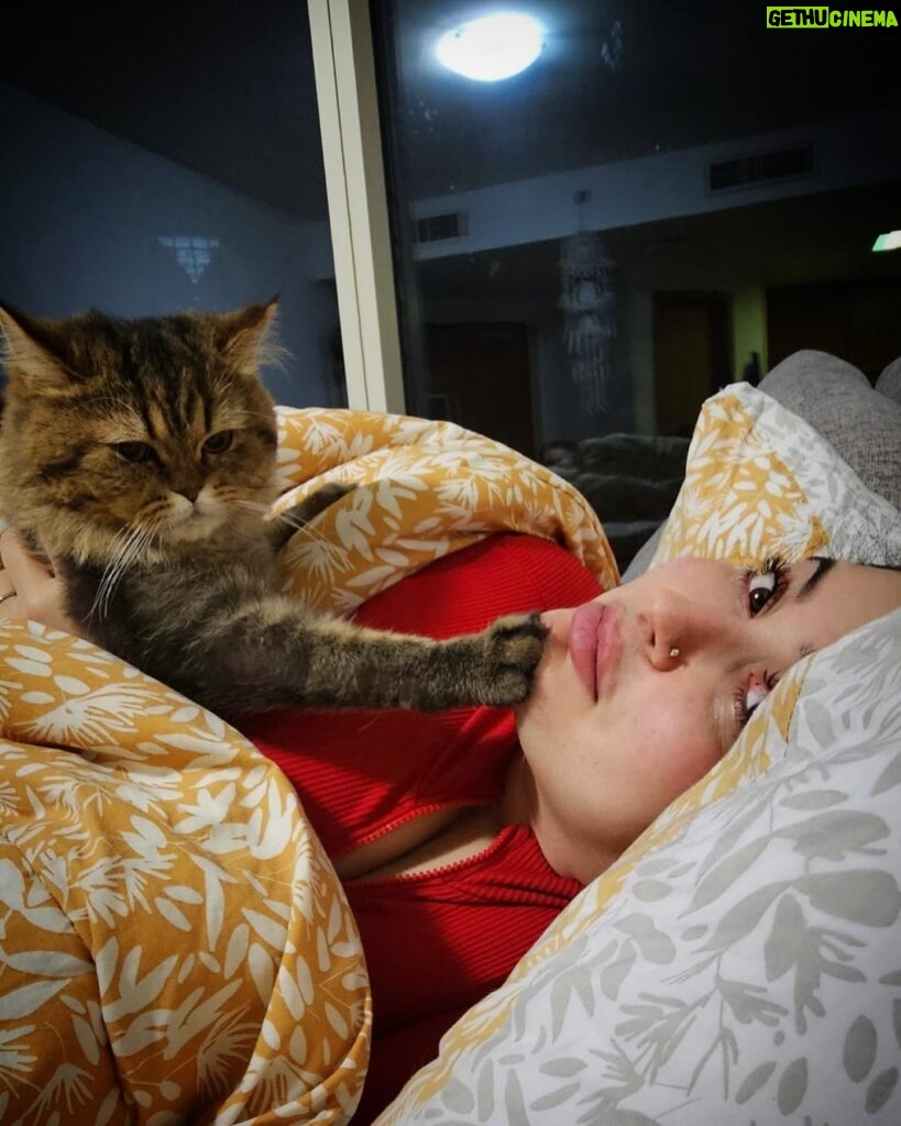 Farrah Yousef Instagram - مابعمري تخيّلت اني ممكن حب مخلوق بهالطريقة .. بتحبو القطط ؟ و حدا فيكن عندو قطة و شو اسما ؟ #cute #cat #cats #cutnessoverload 😽🥰💕