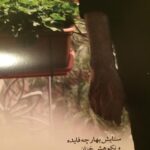 Fatemeh Motamed-Arya Instagram – در خانه بسته است ،و باز  نور می بارد از در و دیوار این خانه