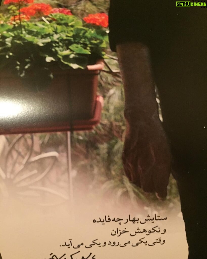 Fatemeh Motamed-Arya Instagram - در خانه بسته است ،و باز نور می بارد از در و دیوار این خانه