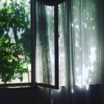 Fatemeh Motamed-Arya Instagram –
