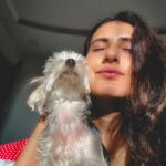 Fatima Sana Shaikh Instagram - सनकिस्ड ☀️ #bijlee