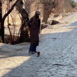 Felor Nazari Instagram - خدایا چه خوب بود همه ی مخلوقاتت در صلح و آرامش کنار هم زندگی می کردند