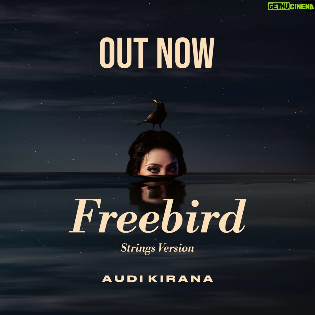 Feni Rose Instagram - String version out now #freebird @audikiranaa