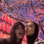 Feni Rose Instagram - Ngikutin saran intagrm.. nyoba hilite nya dijdiin reels