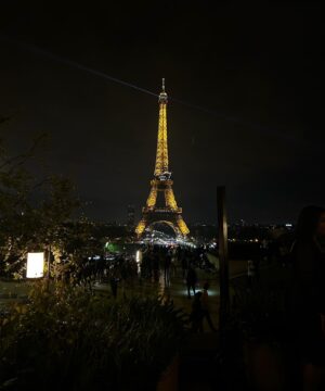 Fernanda Concon Instagram - missing parisian nights